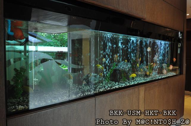 DSC_1033_resize.jpg